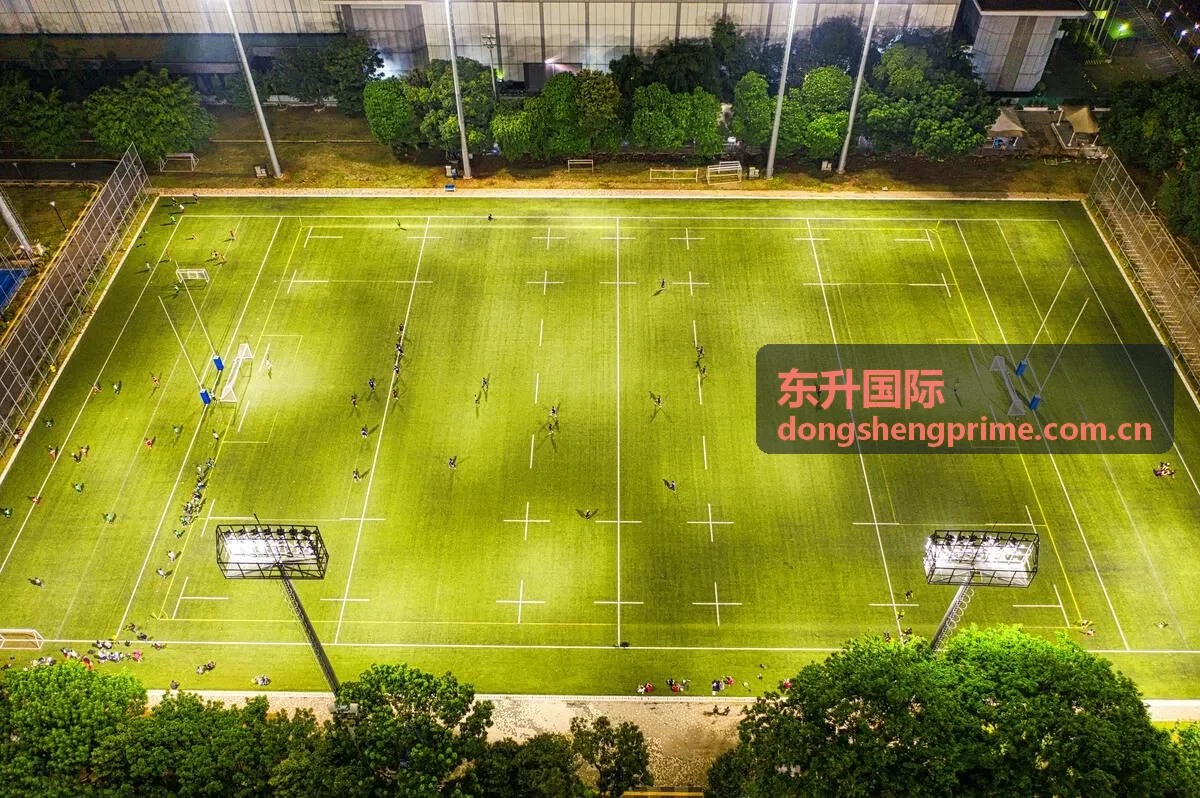 东升国际官方入口页面