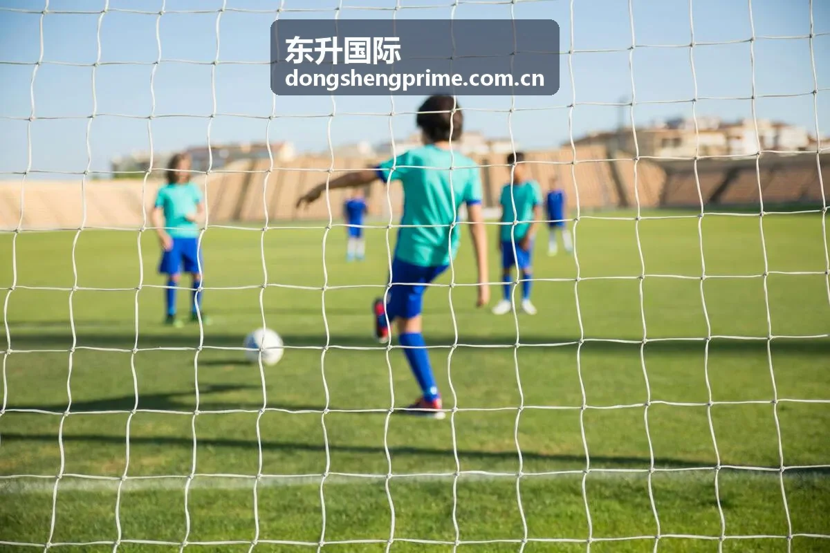 东升国际便捷服务体验